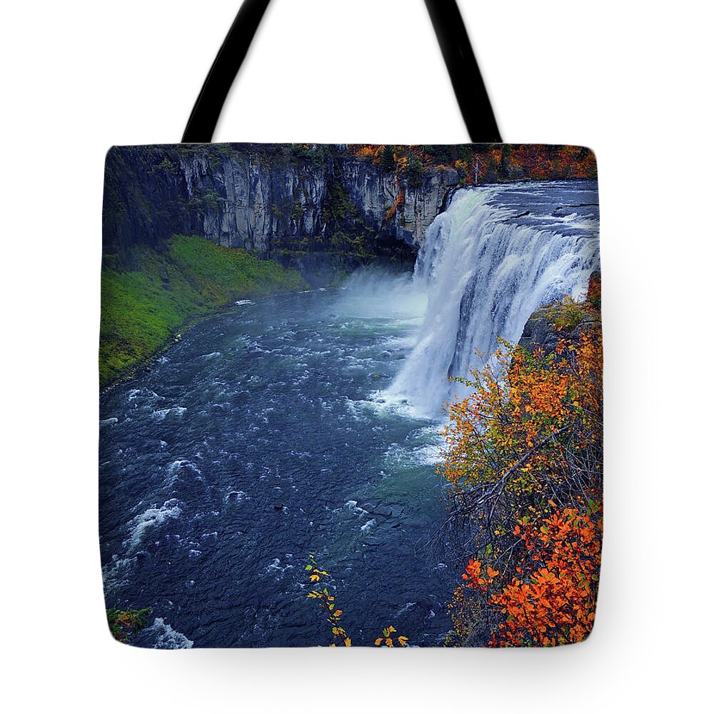 Mesa Falls Tote Bag featuring the photograph Mesa Falls in the Fall by Raymond Salani III