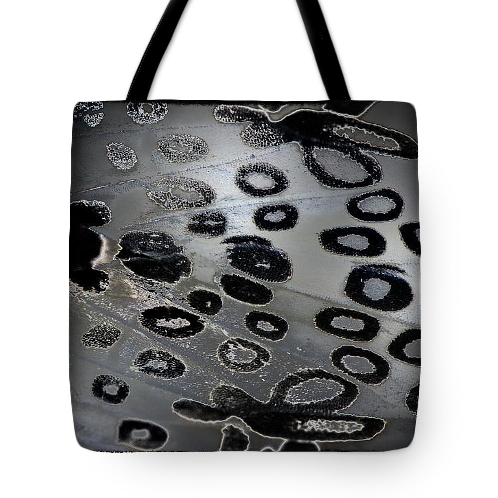 Abstract Tote Bag featuring the photograph Metallic Butterfly with Border by Karen Adams