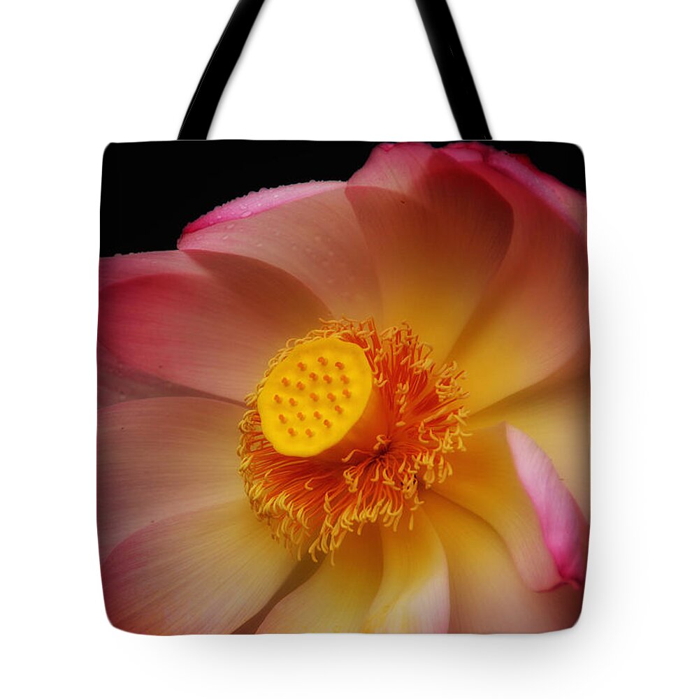 Bees Tote Bag featuring the photograph Metamorphosis I by Kathi Isserman
