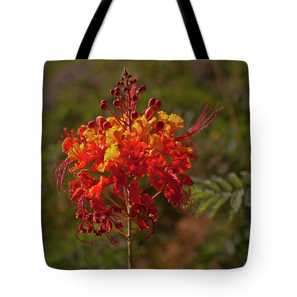 Plant Tote Bag featuring the photograph Mexican Bird Of Paradise-Signed-#1352 by J L Woody Wooden