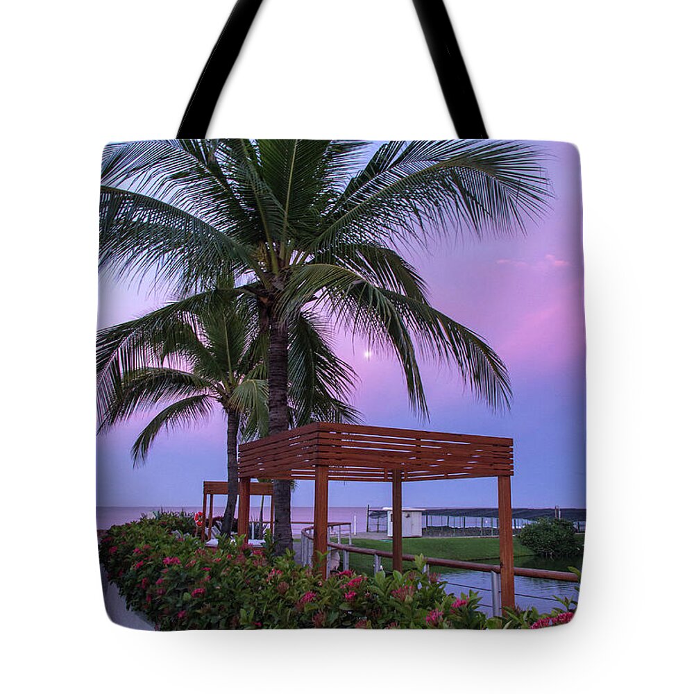 Birds Tote Bag featuring the photograph Mexican Moonrise Mexican Art by Kaylyn Franks by Kaylyn Franks