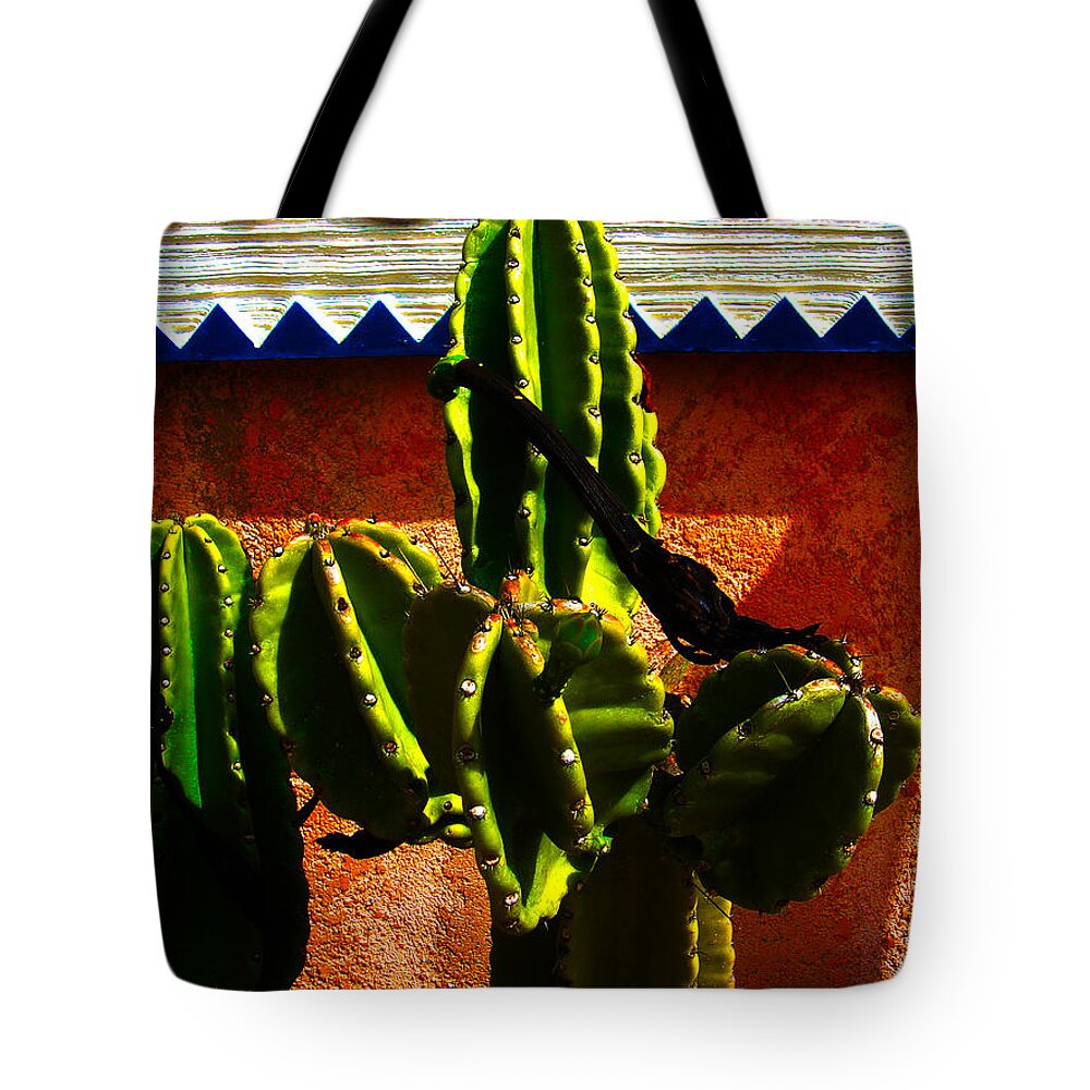Mexico Tote Bag featuring the photograph Mexican Style by Susanne Van Hulst