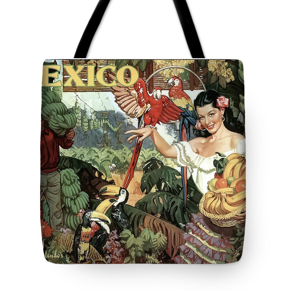 Mexico Tote Bag featuring the painting Mexico, woman with bananas by Long Shot