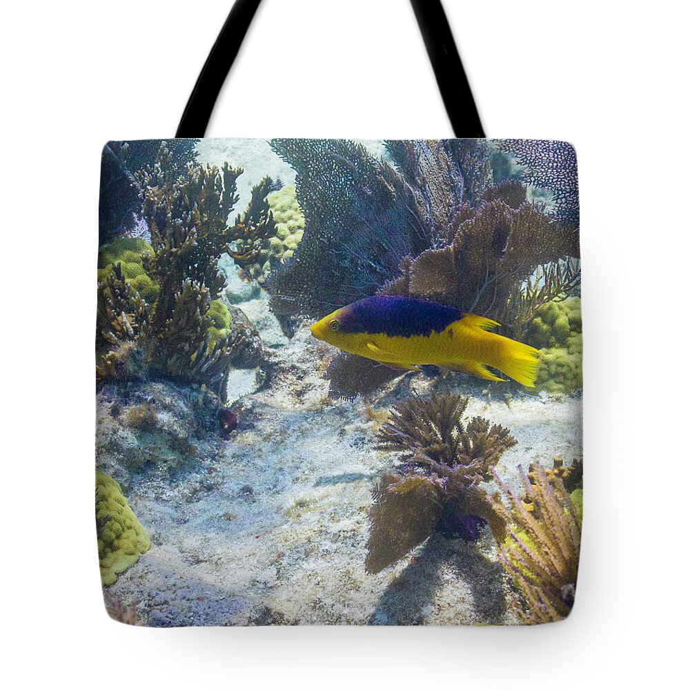 Ocean Tote Bag featuring the photograph Mi Casa by Lynne Browne