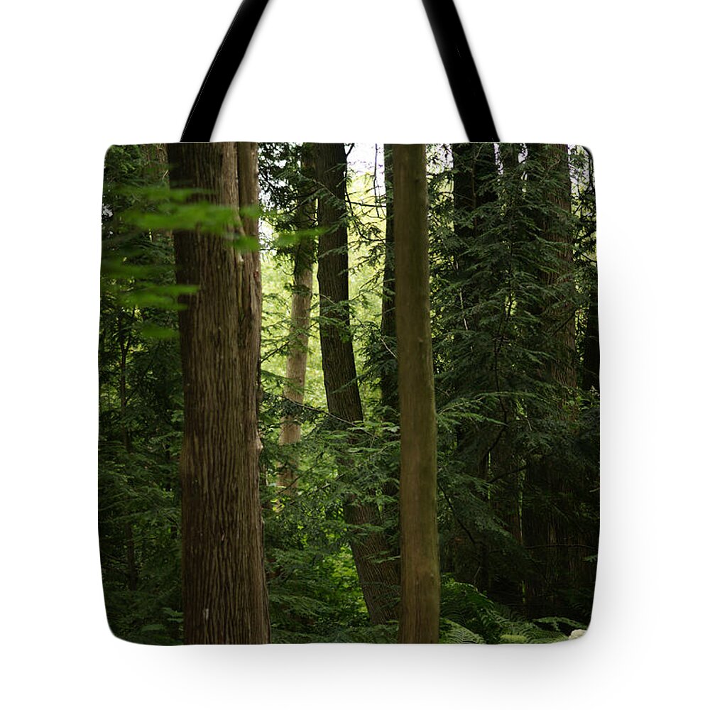 Woodlands Tote Bag featuring the photograph Michigan Woods by Linda Shafer