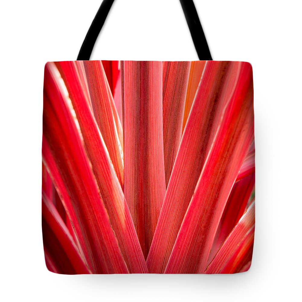 Plants Tote Bag featuring the photograph Middle Man by Derek Dean