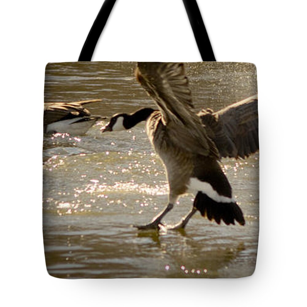 Lwater Tote Bag featuring the photograph Minden 4 by Catherine Sobredo