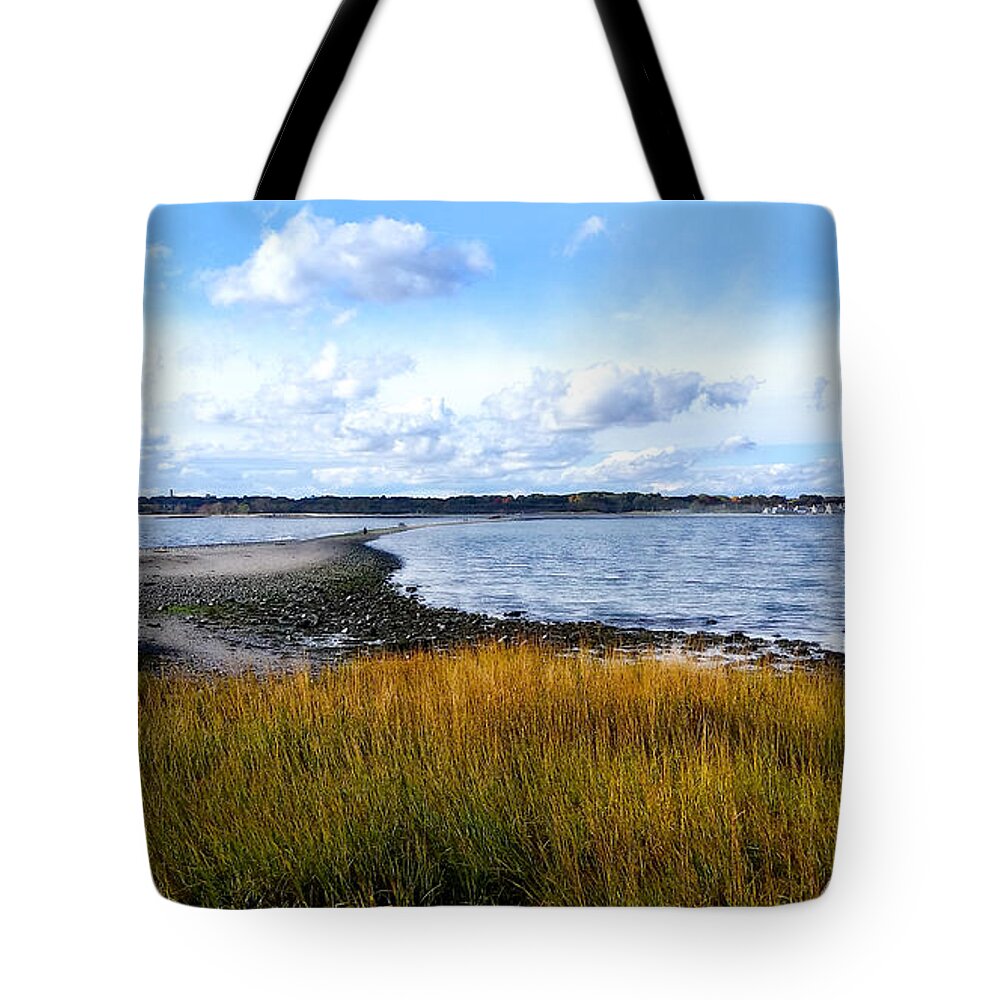Island Tote Bag featuring the photograph Milford Island by Raymond Earley