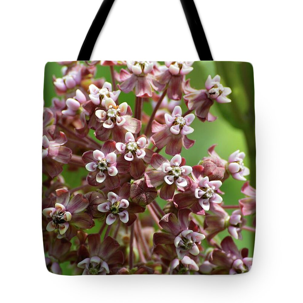 Nature Tote Bag featuring the photograph Milkweed Flowers by Lyle Crump