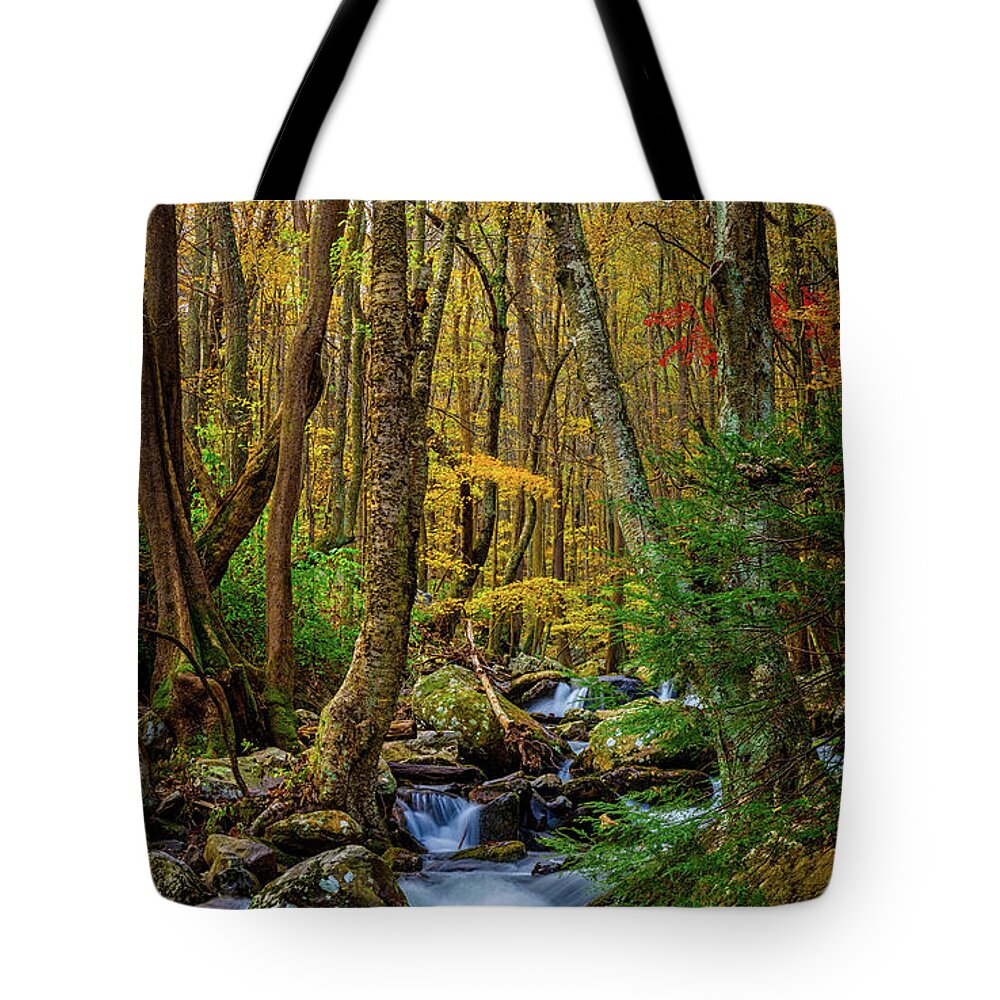 Landscape Tote Bag featuring the photograph Mill Creek in Fall #1 by Joe Shrader