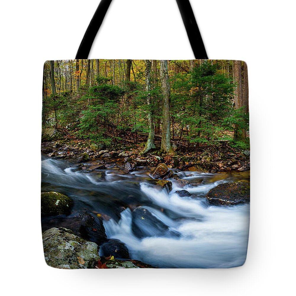 Landscape Tote Bag featuring the photograph Mill Creek in Fall #2 by Joe Shrader