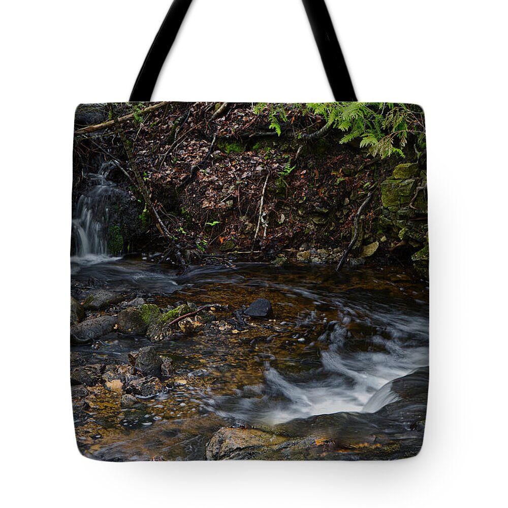 Photo Tote Bag featuring the photograph Mill Creek by Richard Gregurich