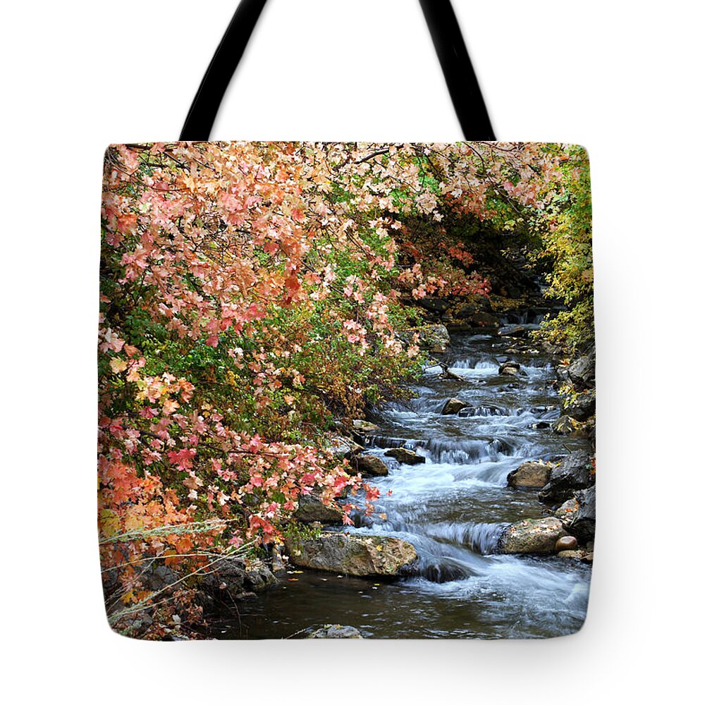 Autumn Tote Bag featuring the photograph Millcreek in Fall by Brett Pelletier