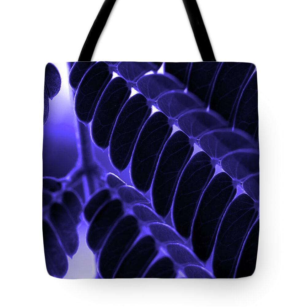 Mimosa Tote Bag featuring the photograph Mimosa Leaf Abstract 2 by Mike Eingle