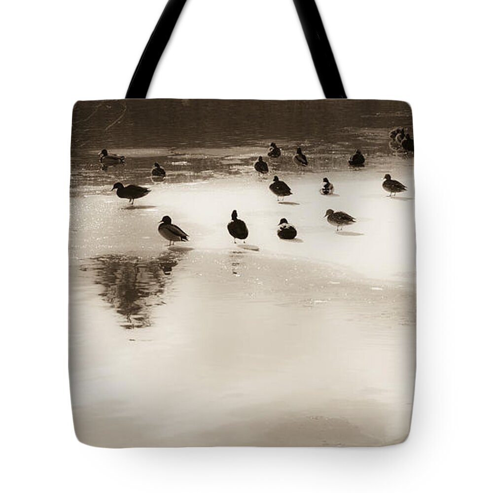 Water Tote Bag featuring the photograph Minden 1 by Catherine Sobredo