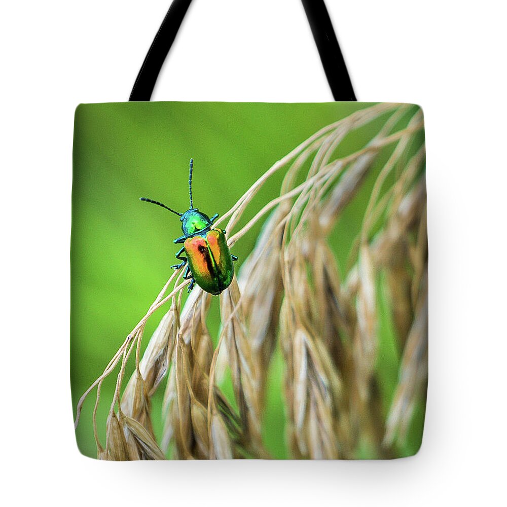 Grass Tote Bag featuring the photograph Mini Metallic Magnificence by Bill Pevlor