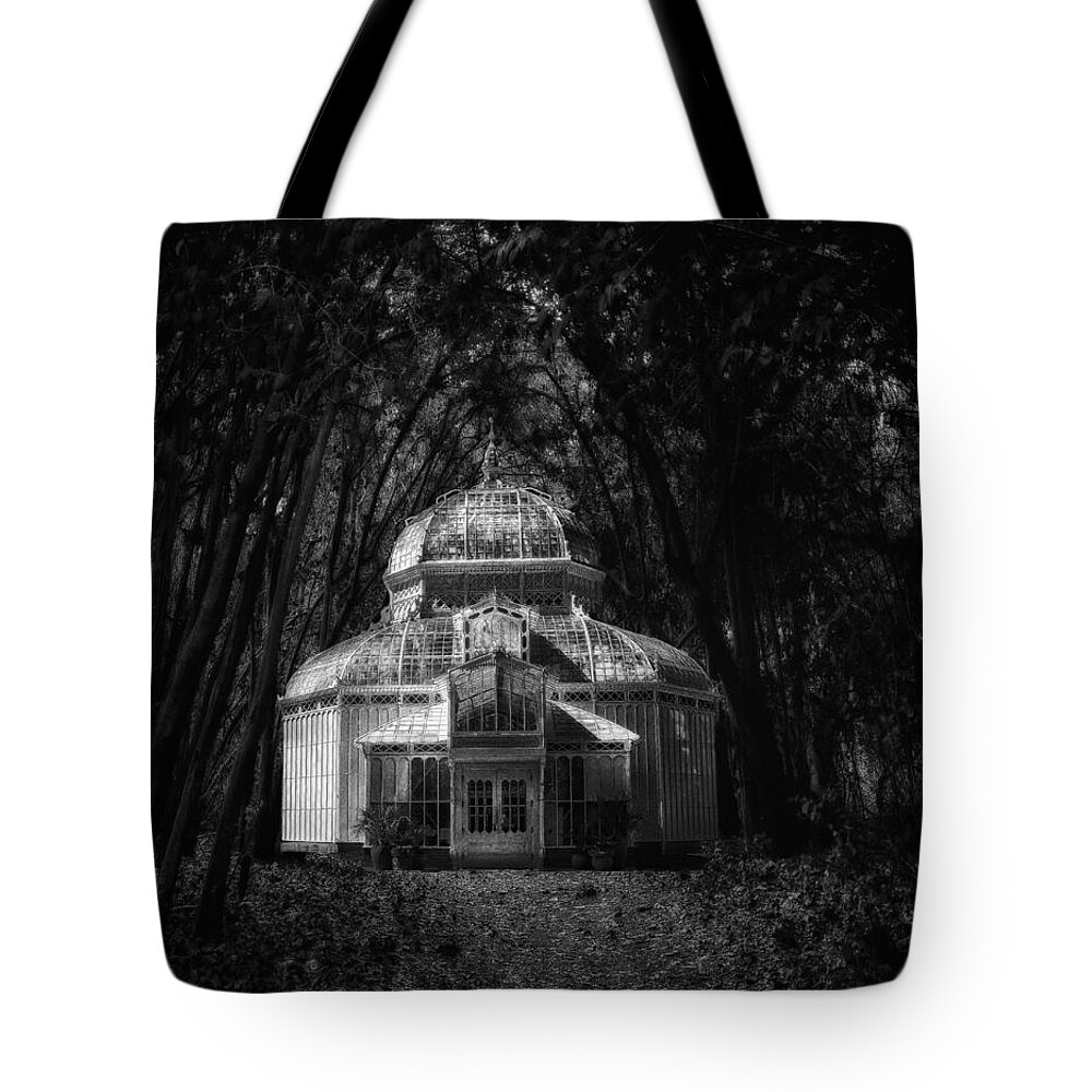 Composite Tote Bag featuring the photograph Mirage in the Woods by Joseph Hollingsworth