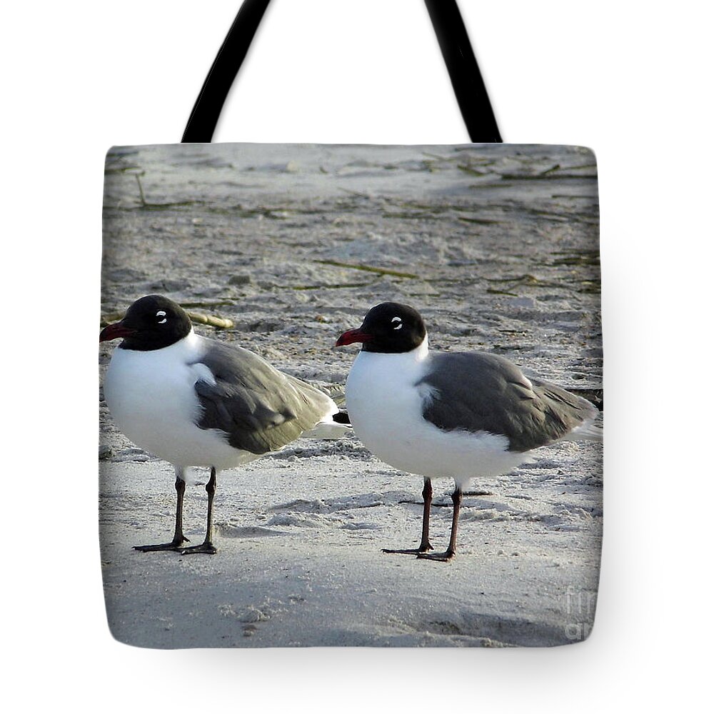 Gull Tote Bag featuring the photograph Mirror Image by D Hackett