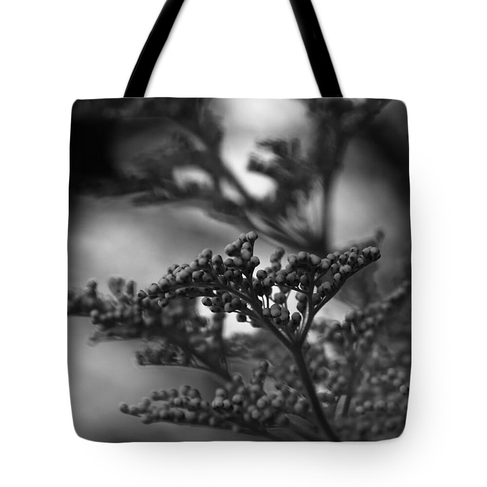 Silver Tote Bag featuring the photograph Mirrored In Sterling by Linda Shafer