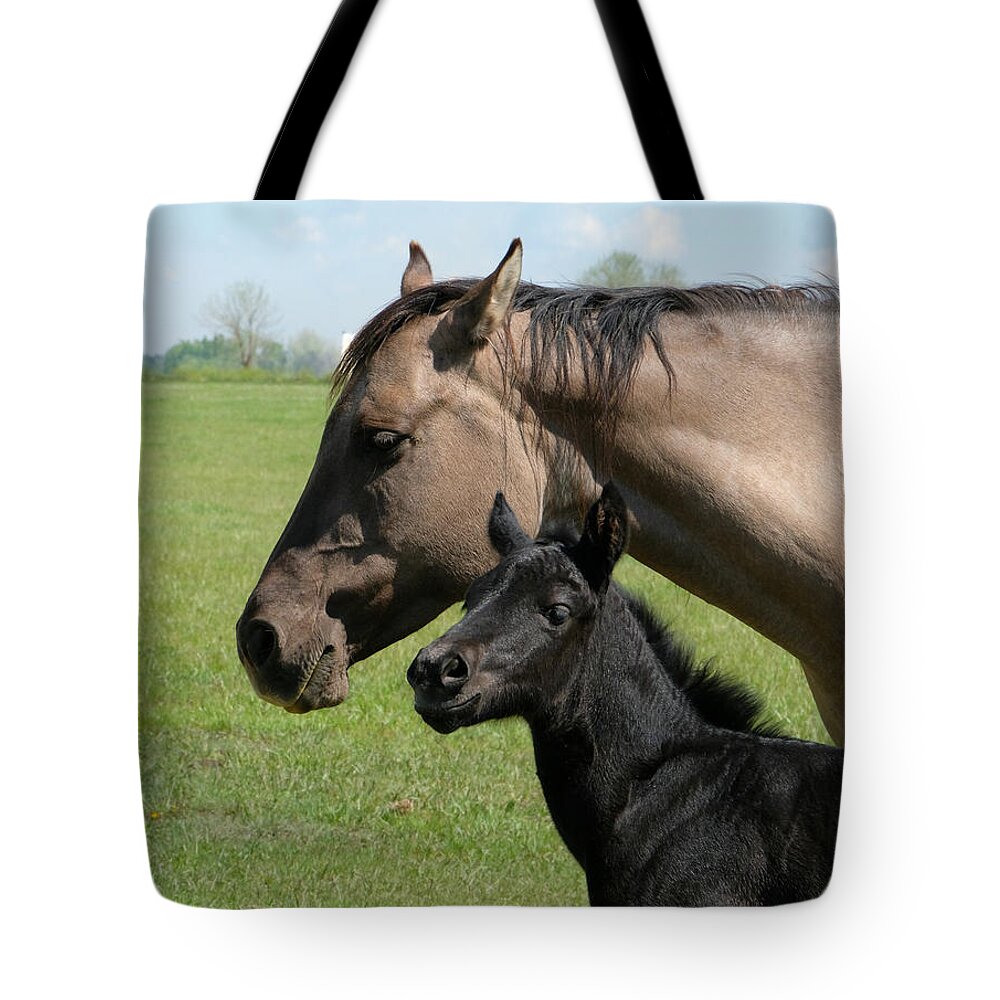 Horse Tote Bag featuring the photograph Mischief by Jessica Myscofski