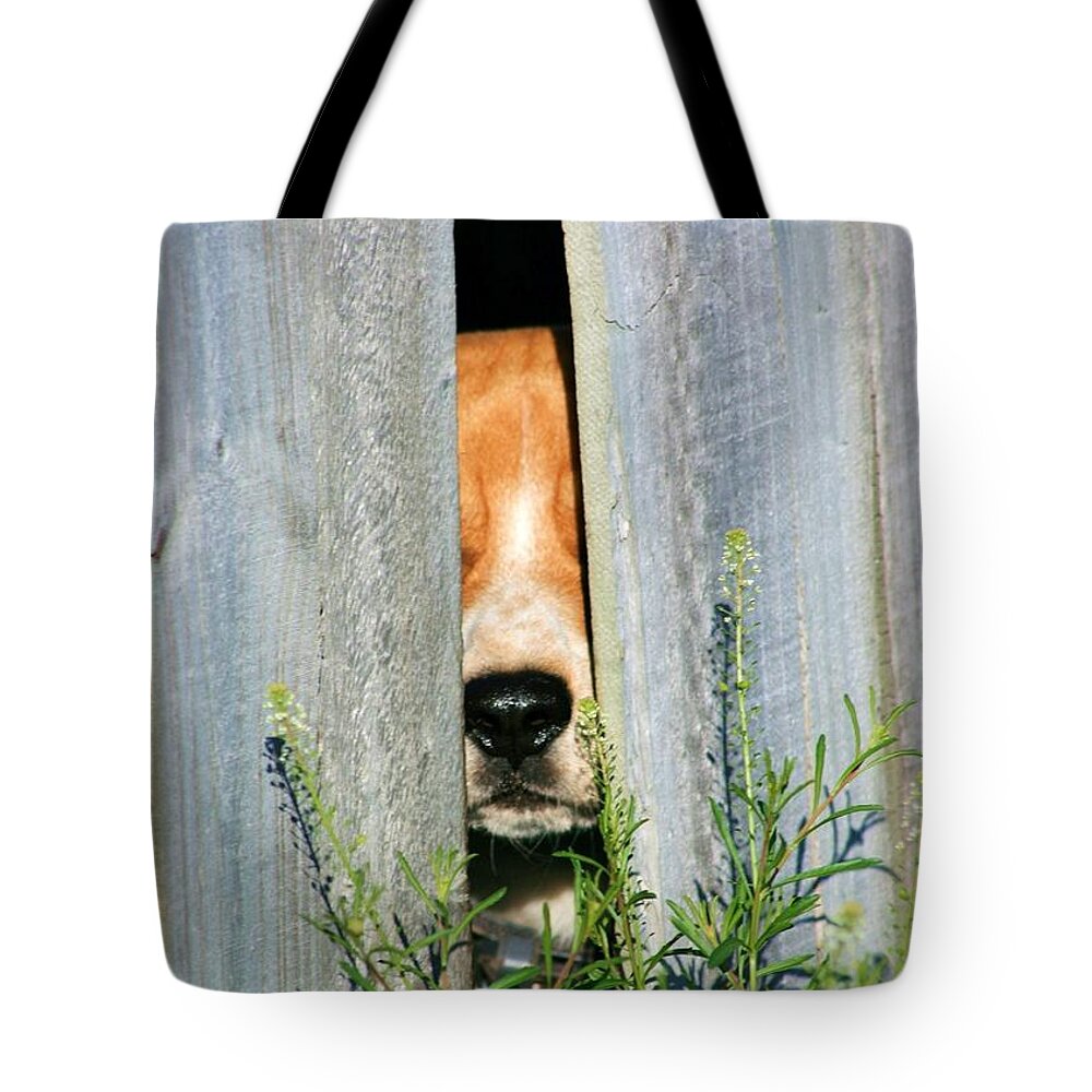 Humorous Tote Bag featuring the photograph Don't Fence Me In #2 by Robert Wilder Jr