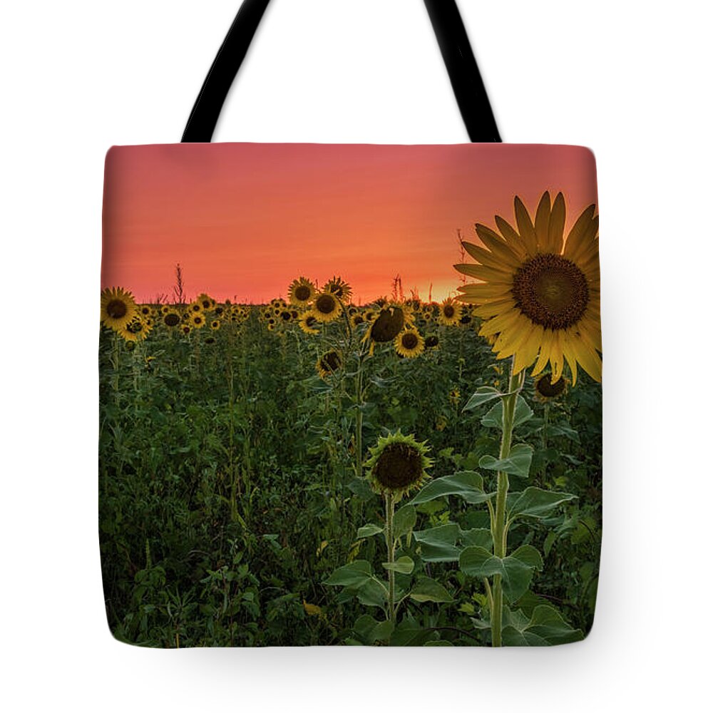 Sunset Tote Bag featuring the photograph Missouri Sunset by Holly Ross
