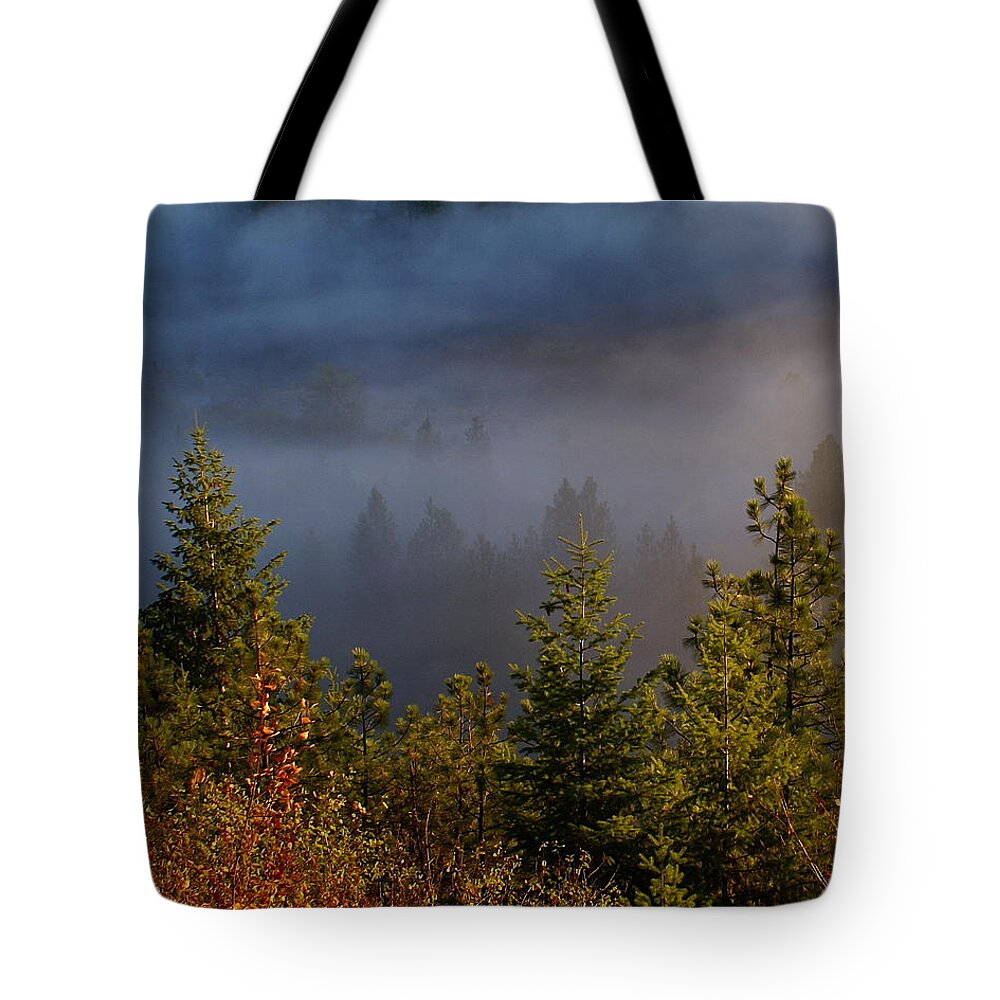 Nature Tote Bag featuring the photograph Mist Enshrouded Morning by Ben Upham III