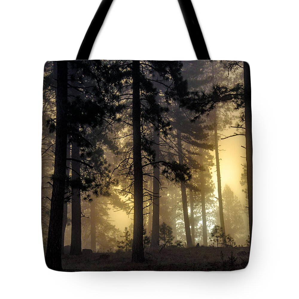 Forest Tote Bag featuring the photograph Misty forest sunrise by Link Jackson
