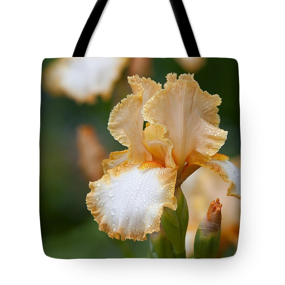 Iris Tote Bag featuring the photograph Misty Iris by Bon and Jim Fillpot