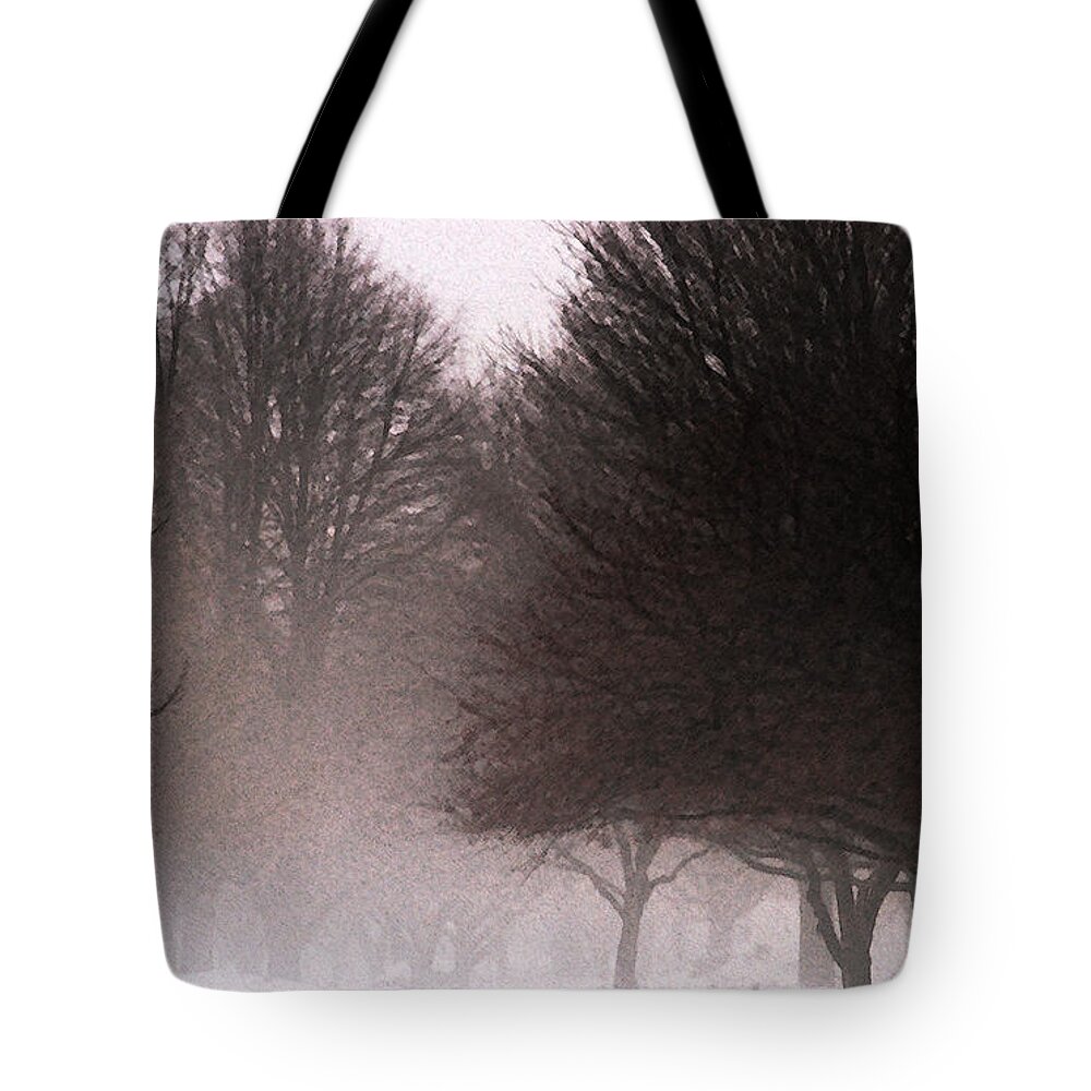 Tree Tote Bag featuring the photograph Misty by Linda Shafer