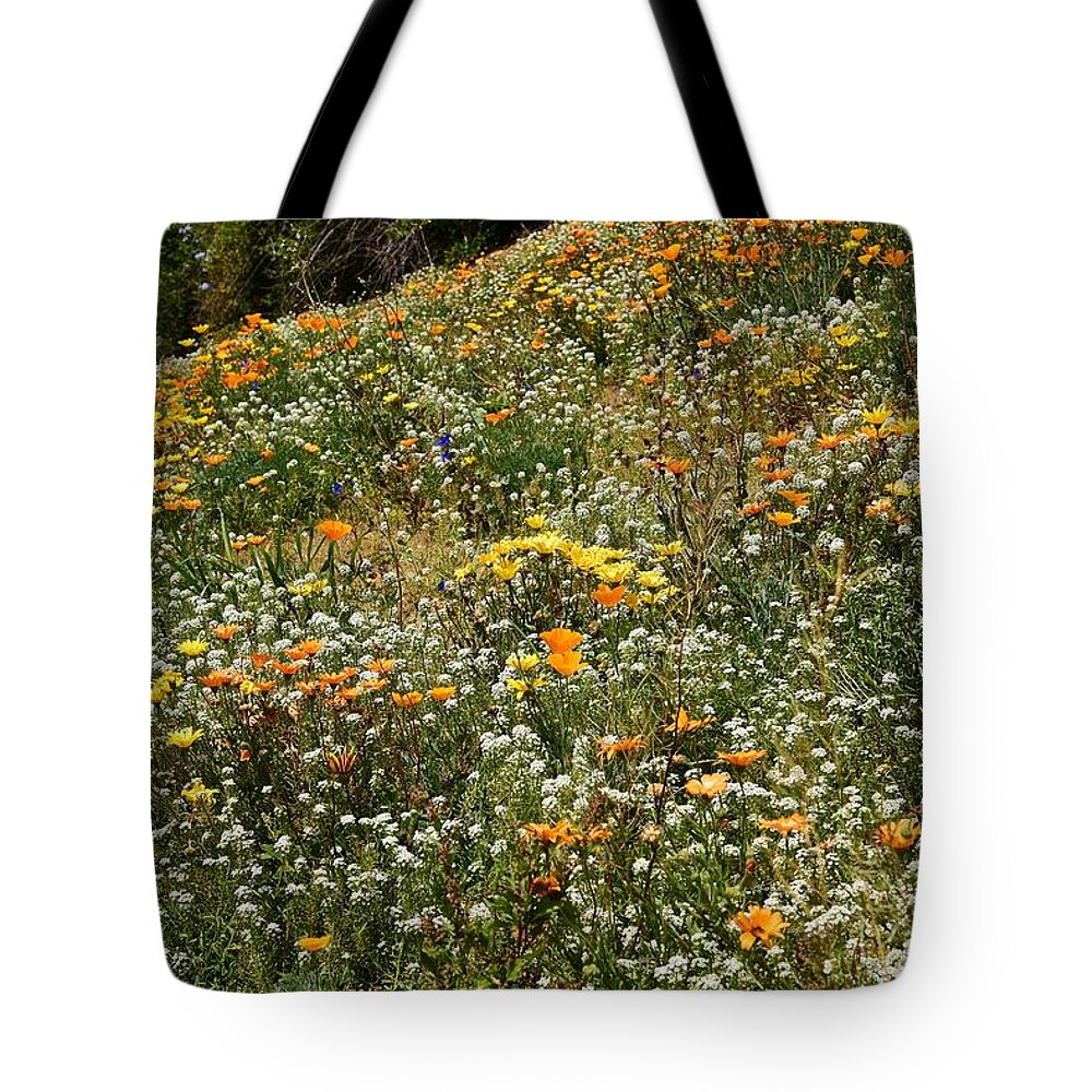 Linda Brody Tote Bag featuring the photograph Mixed Hillside Spring Flowers 1a by Linda Brody