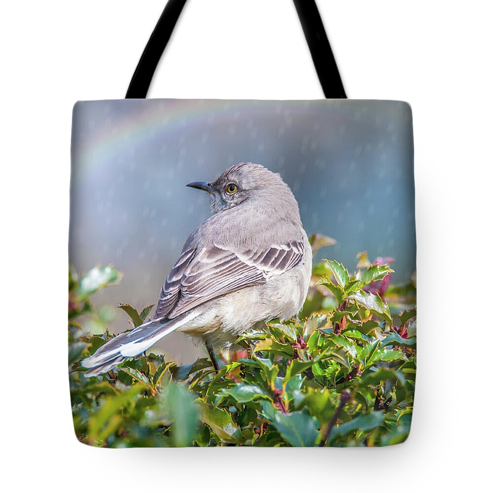 Mockingbird Tote Bag featuring the photograph Mockingbird Rainbow by Cathy Kovarik