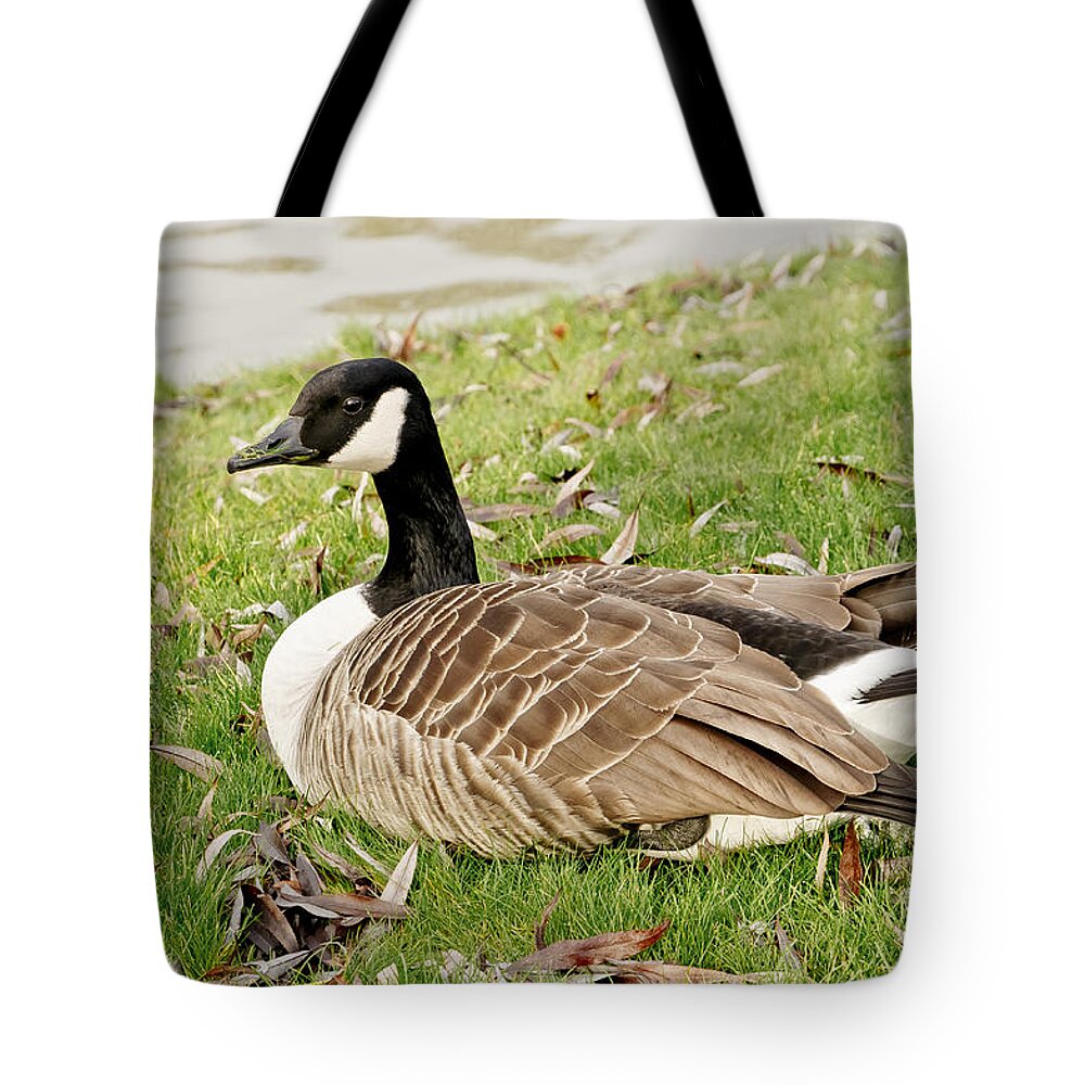 Goose Tote Bag featuring the photograph Modest Beauty by Elena Perelman
