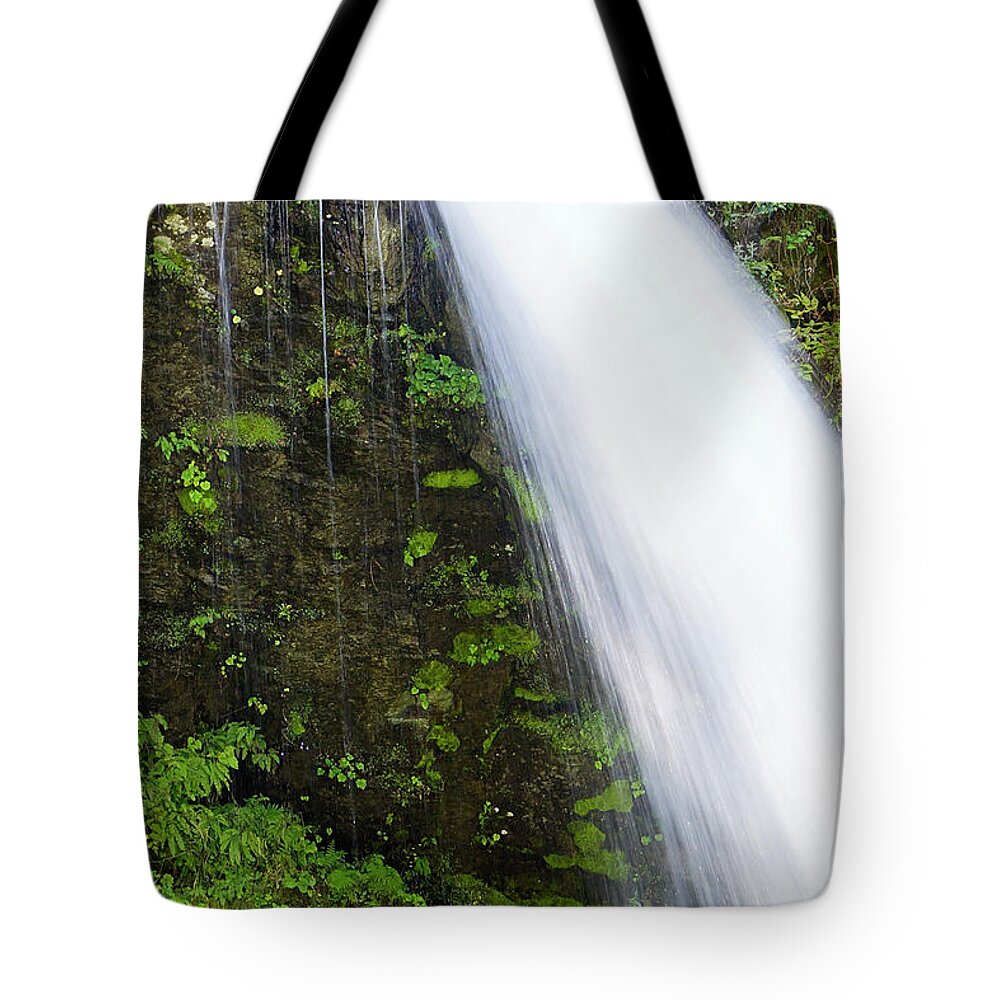 Waterfall Tote Bag featuring the photograph Moist by Tim Dussault