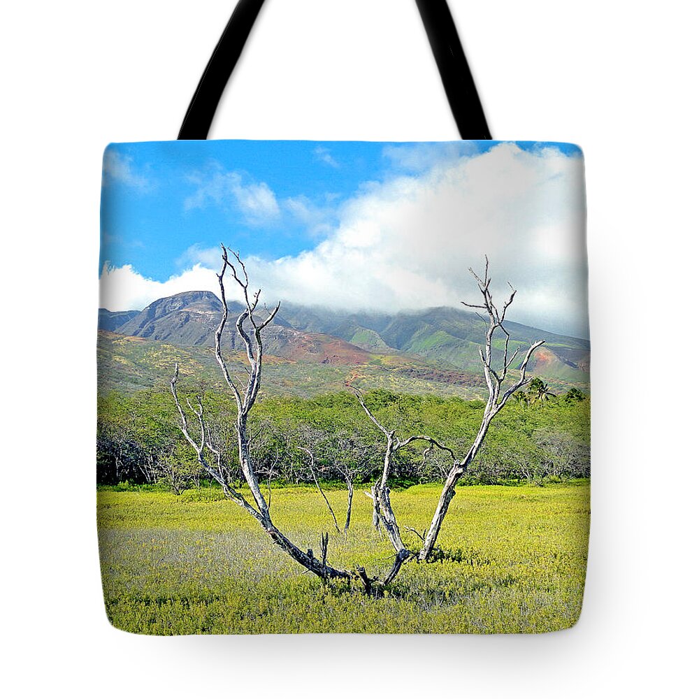 Molokai Tote Bag featuring the photograph Molokai Surrealism by Robert Meyers-Lussier