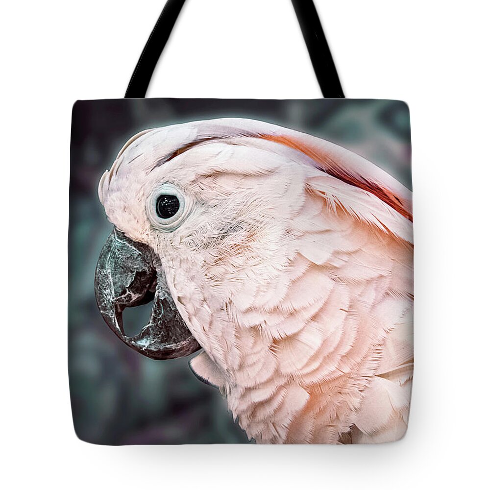 Parrot Tote Bag featuring the photograph Moluccan Cockatoo by Bob Slitzan