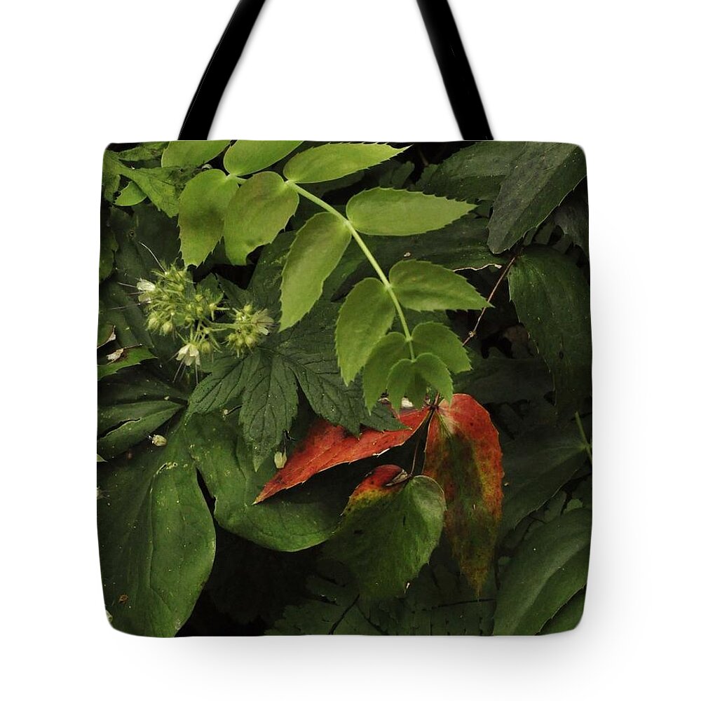 Nature Tote Bag featuring the photograph Moments of Spring by Charles Lucas