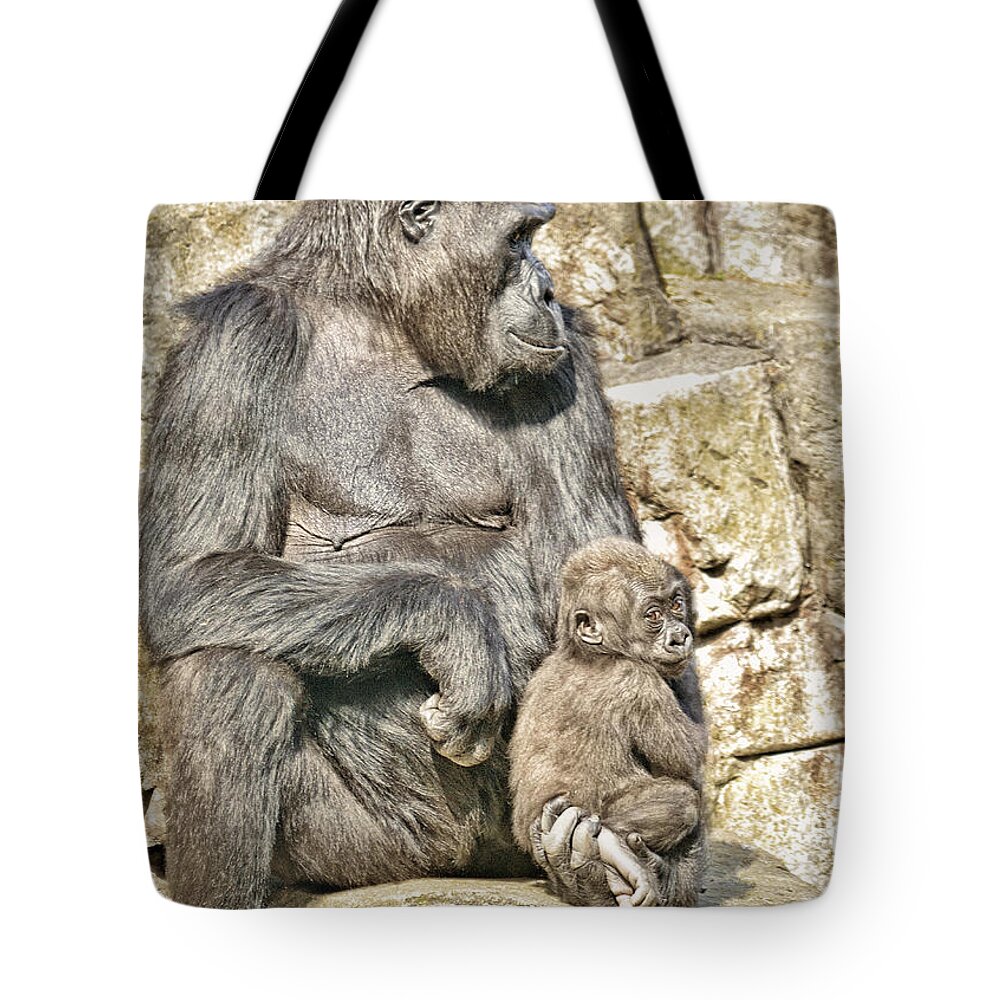 Jim Fitzpatrick Tote Bag featuring the photograph Momma and Baby Gorilla by Jim Fitzpatrick