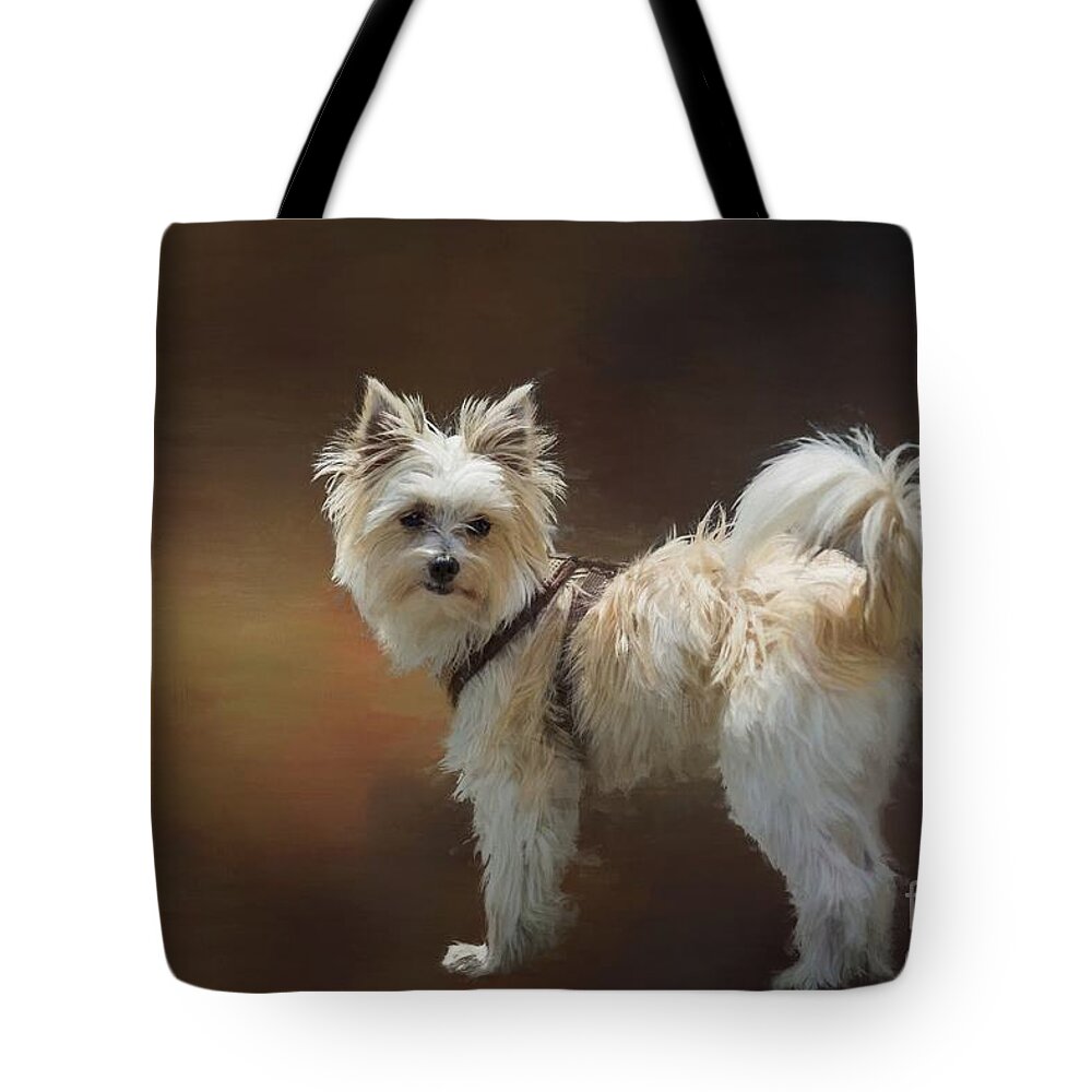 Mimo Tote Bag featuring the mixed media Mimo by Eva Lechner