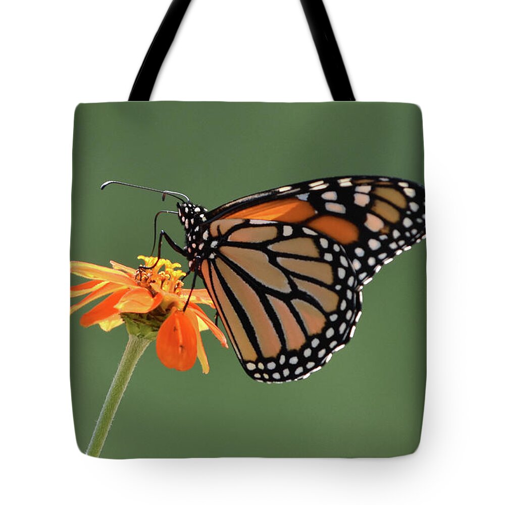 Monarch Tote Bag featuring the photograph Monarch by Ben Foster