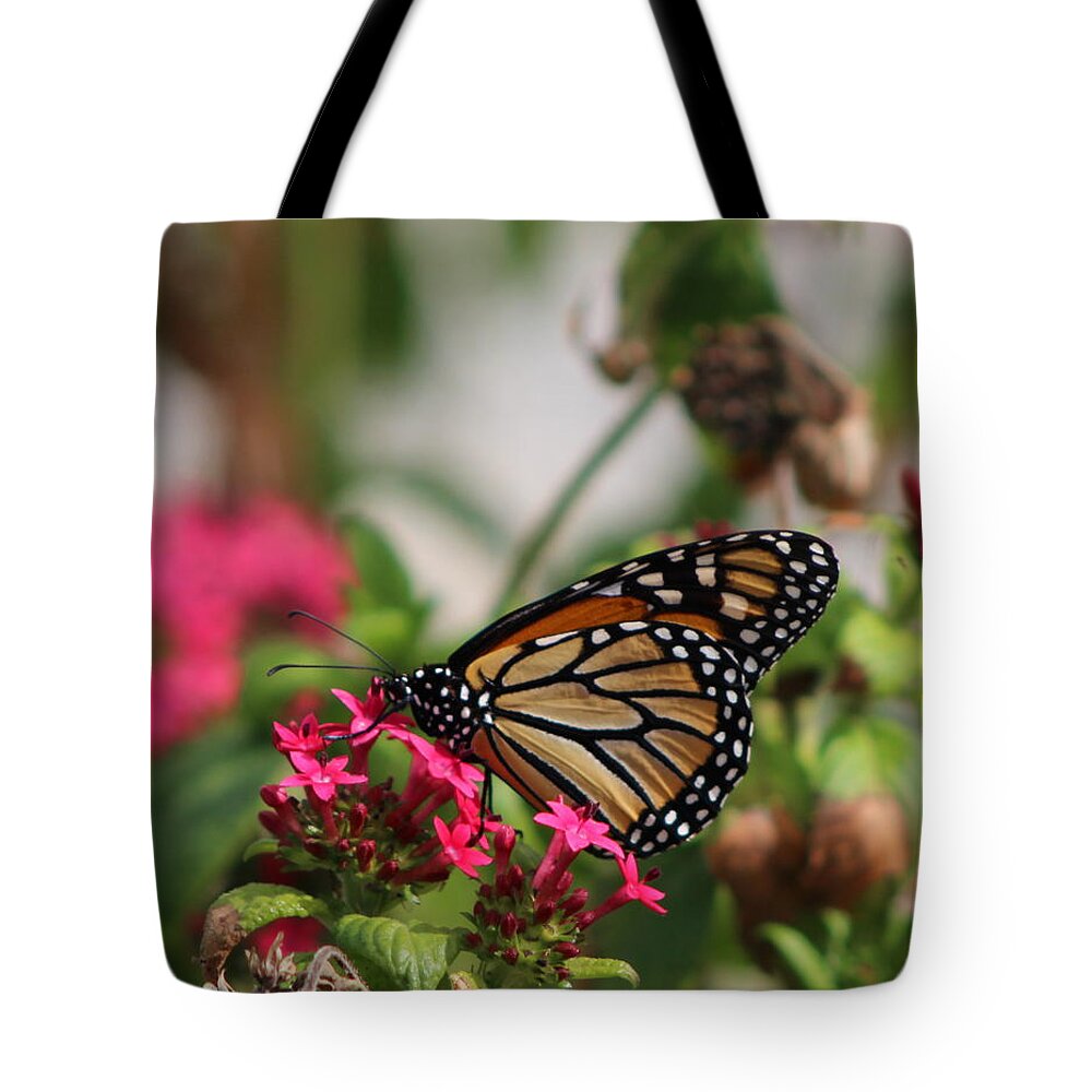 Monarch Butterfly Tote Bag featuring the photograph Monarch Butterfly on Fuchsia by Colleen Cornelius