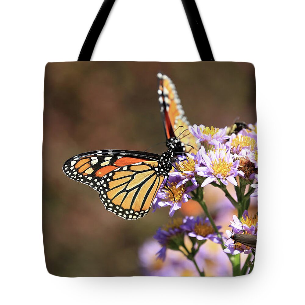 Monarch Tote Bag featuring the photograph Monarch Butterflies by Paul Ranky