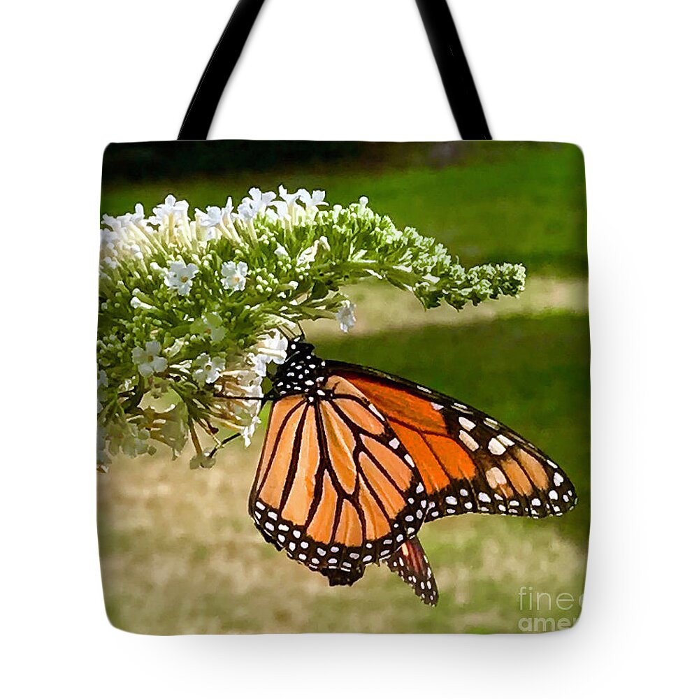 Butterfly Tote Bag featuring the photograph Monarch Butterfly 1 by CAC Graphics