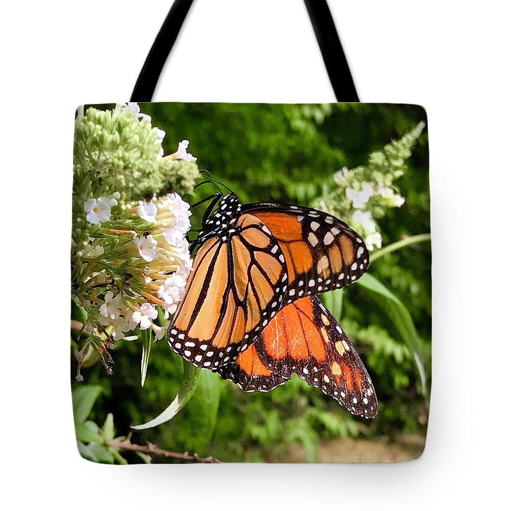 Butterfly Tote Bag featuring the photograph Monarch Butterfly 2 by CAC Graphics