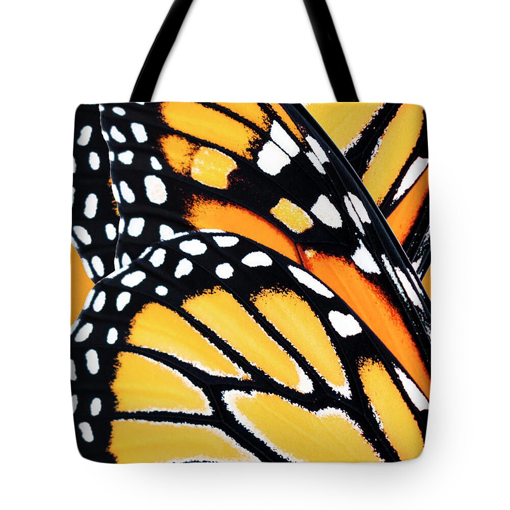 Monarch Butterfly Tote Bag featuring the mixed media Monarch Butterfly Abstract Pattern by Christina Rollo