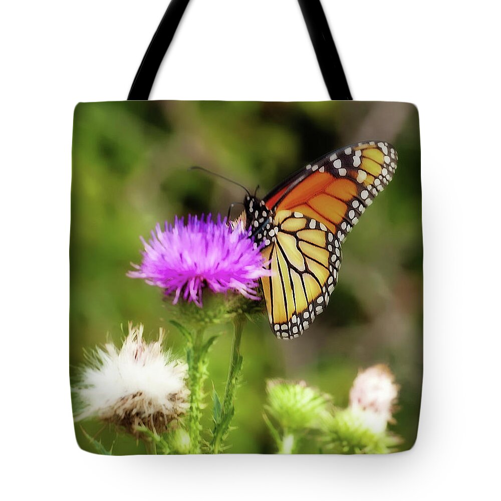 Butterfly Tote Bag featuring the photograph Monarch Butterfly Dreams by Lara Ellis