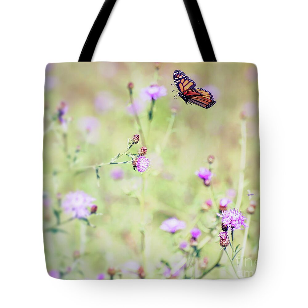 Monarch Butterfly Tote Bag featuring the photograph Monarch Butterfly - In Flight Over the Knapweed by Kerri Farley