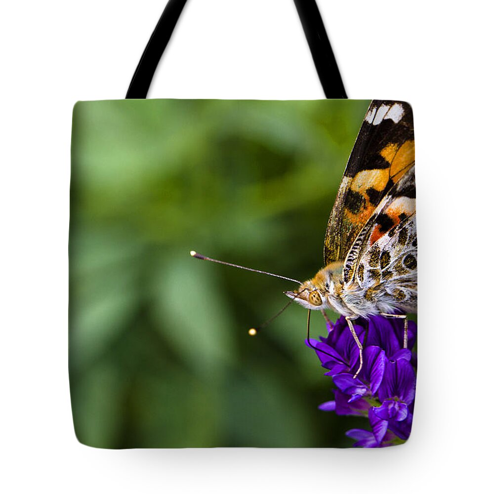 Monarch Butterfly Tote Bag featuring the photograph Monarch Butterfly by Marlo Horne