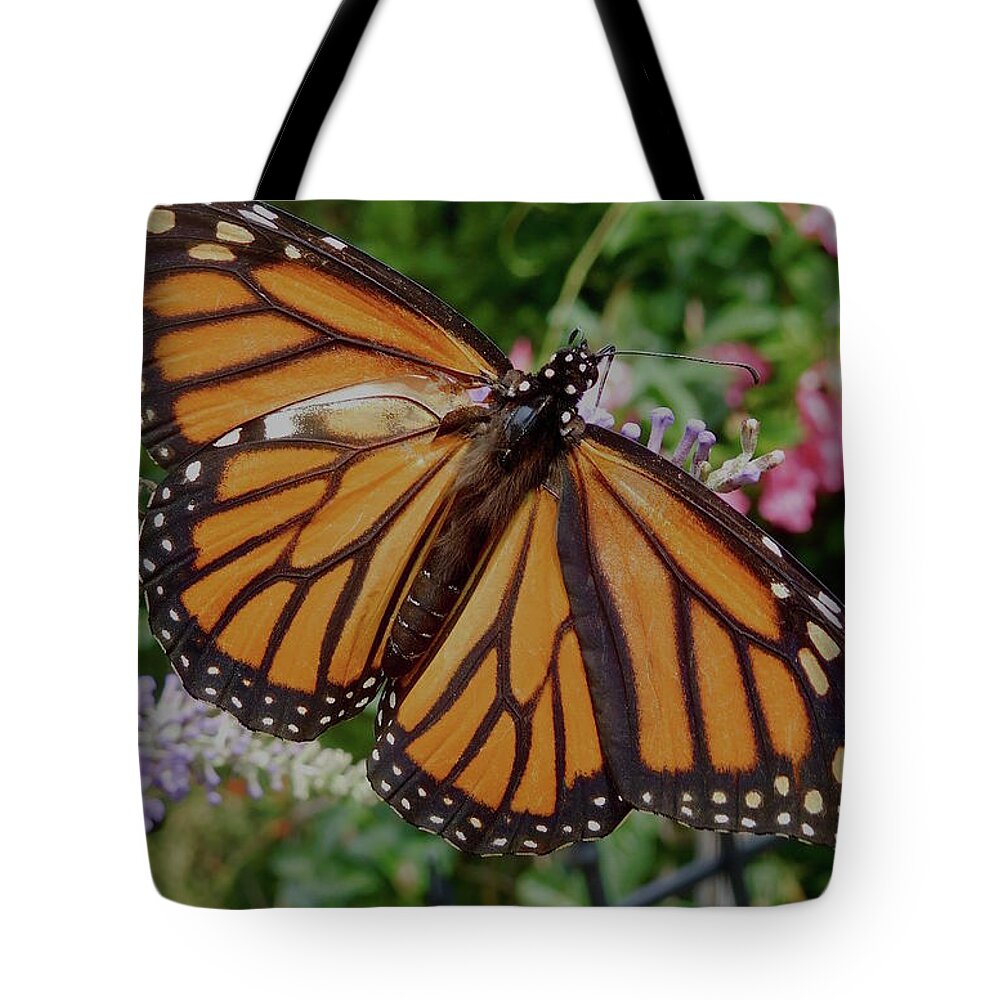 Monarch Butterfly Tote Bag featuring the photograph Monarch Butterfly by Melinda Saminski