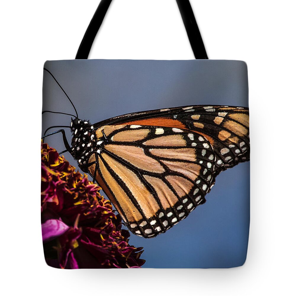 Monarch Tote Bag featuring the photograph Monarch Butterfly on Pink Dahlia by Dawn Key